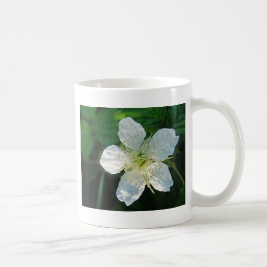 Weisse Brombeerblüte Kaffeetasse (Rechts)