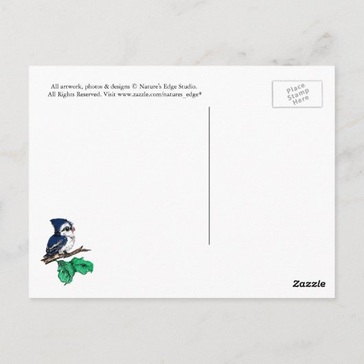 Weiße Brust - Nuthatch Postkarte 2 (Rückseite)