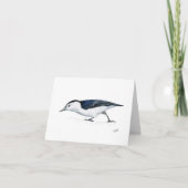 Weiße Brüste (Vorderseite)