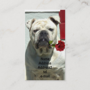 Weiße Bulldogge mit Rosengeschäftskarte Visitenkarte