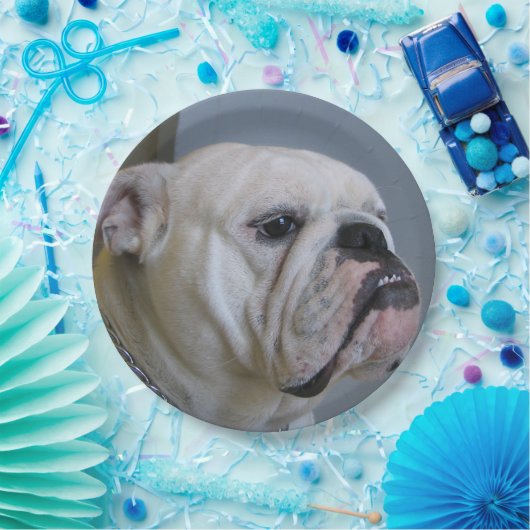 weiße Bulldogge Pappteller (Party)