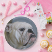 weiße Bulldogge Pappteller (Party)
