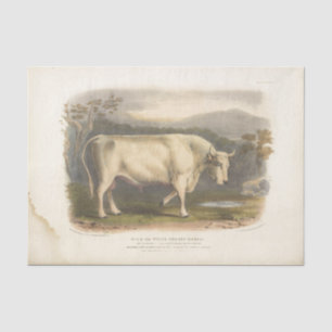 Weiße Bullen Kuh Ephemera Decoupage Vintage Farm Seidenpapier