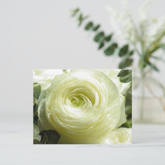 Weiße Buttercup-Blume Postkarte (Stehend Vorderseite)