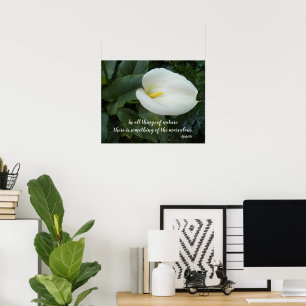 Weiße Calla-Lilie Aristoteles Philosophischer Auss Poster