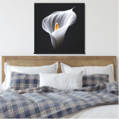 Weiße Calla-Lilie auf schwarz Leinwanddruck (Insitu (Schlafzimmer))