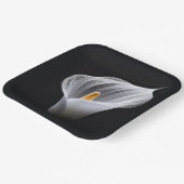 Weiße Calla-Lilie auf schwarz Pappteller (Gewinkelt)