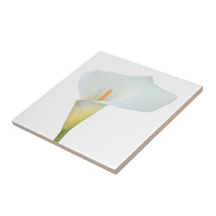 Weiße Calla-Lilien-Blumen-Hinterhof-Garten-Foto  Fliese