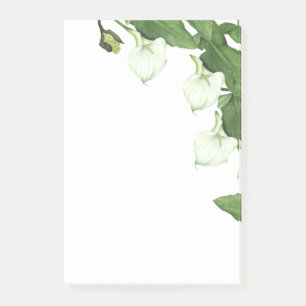 Weiße Calla-Lilien-Blumen Post-it Notes im Vintage Klebezettel