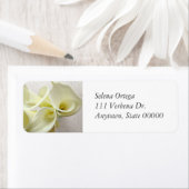 Weiße Calla-Lilien von oben (Insitu)