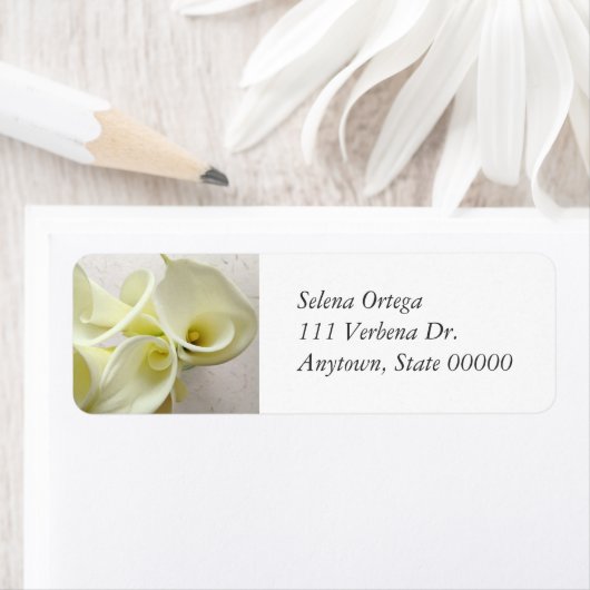 Weiße Calla-Lilien von oben (Insitu)