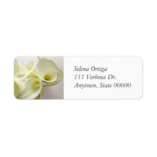 Weiße Calla-Lilien von oben