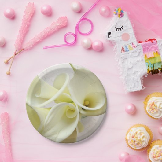 Weiße Calla-Lilien von oben Pappteller (Party)