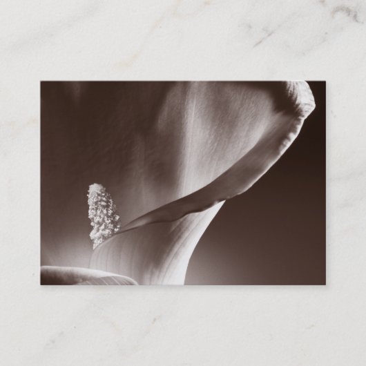 Weiße Calla Lily Blume Schwarzer Hintergrund Visitenkarte (Vorderseite)