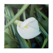 Weiße Calla Lily und grüne Foliage Fliese (Vorderseite)