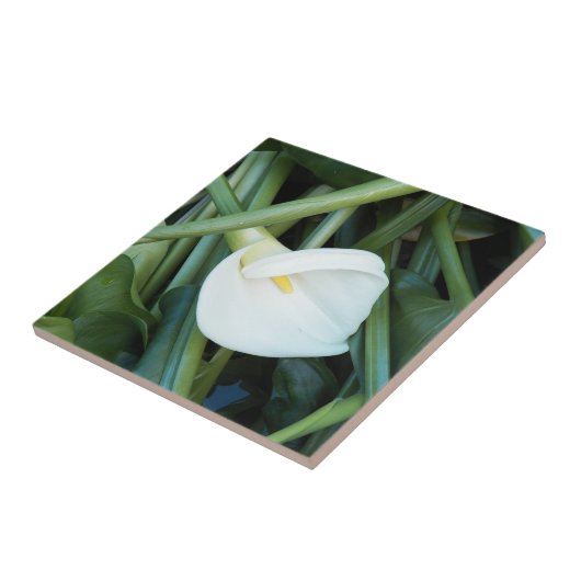 Weiße Calla Lily und grüne Foliage Fliese (Seite)