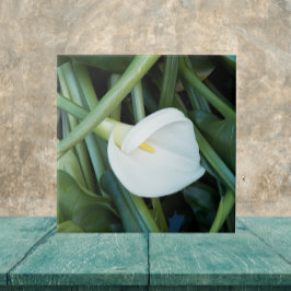 Weiße Calla Lily und grüne Foliage Fliese