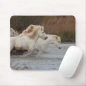 Weiße Camargue-Pferde, die im Wasser laufen Mousepad (Mit Mouse)