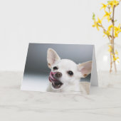 Weiße Chihuahua, die Lippen lecken Karte (Gelbe Blume)