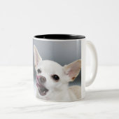 Weiße Chihuahua, die Lippen lecken Zweifarbige Tasse (VorderseiteRechts)
