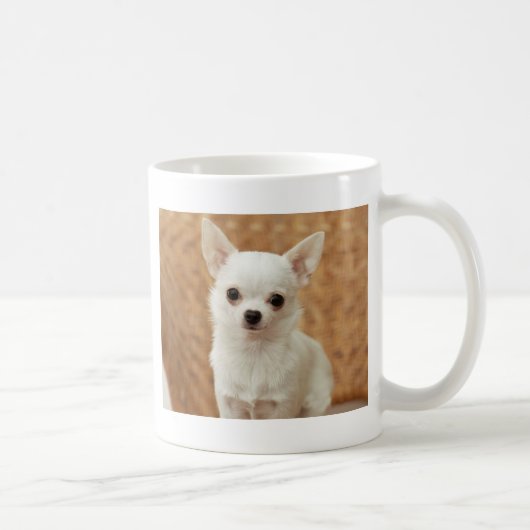 Weiße Chihuahua Kaffeetasse (Rechts)