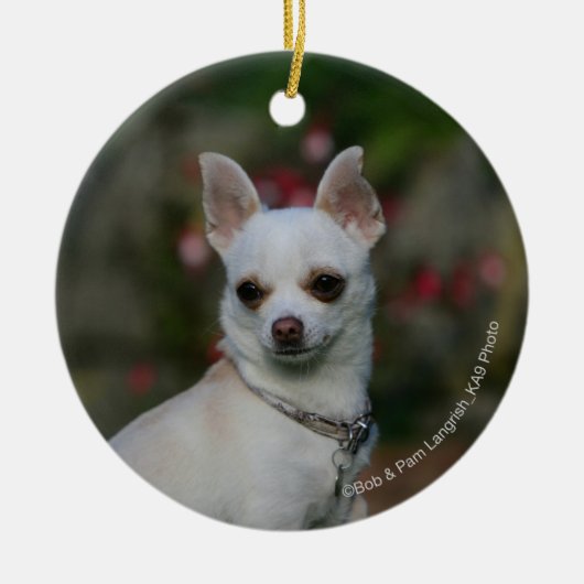 Weiße Chihuahua Keramikornament (Vorne)