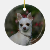 Weiße Chihuahua Keramikornament (Hinten)
