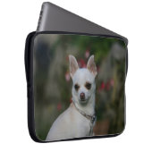 Weiße Chihuahua Laptopschutzhülle (Vorne Rechts)