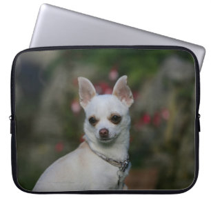 Weiße Chihuahua Laptopschutzhülle
