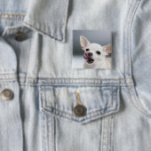 Weiße Chihuahua leckende Lippen Button (Beispiel)