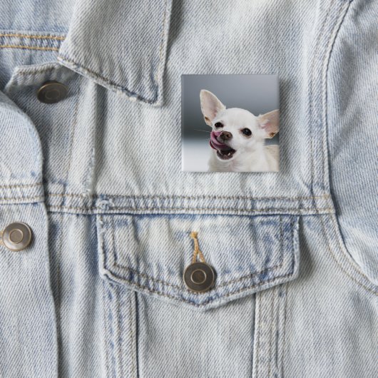 Weiße Chihuahua leckende Lippen Button (Beispiel)