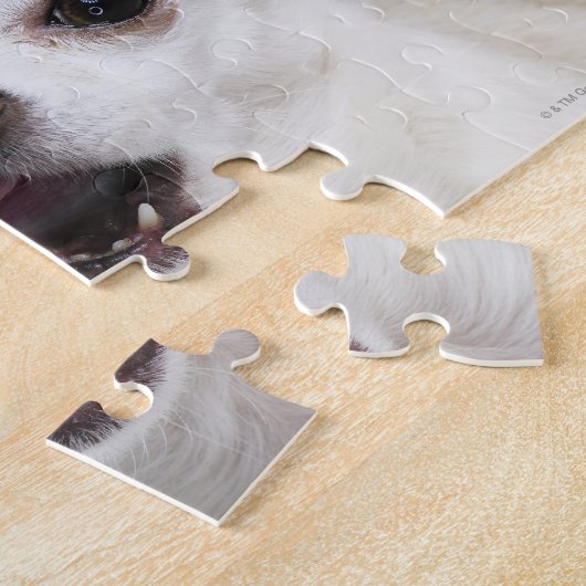 Weiße Chihuahua leckende Lippen Puzzle (Seite)