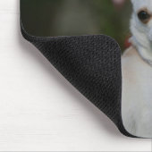 Weiße Chihuahua Mousepad (Ecke)