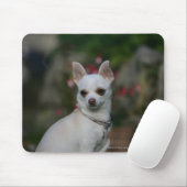 Weiße Chihuahua Mousepad (Mit Mouse)