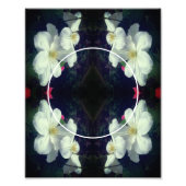 Weiße Clematis-Blume gestalten Ihren eigenen 8x10- Fotodruck (Vorne)