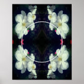 Weiße Clematitis-Blume gestalten Ihr eigenes Foto Poster (Vorne)