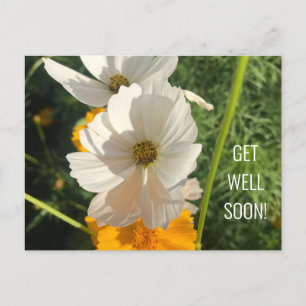 WEIßE COSMO-BLUME GENESUNG WÜNSCHE POSTKARTE