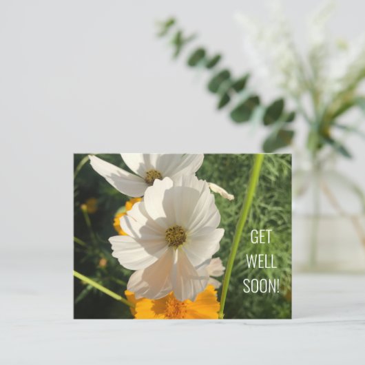 WEISSE COSMO-BLUME WIRD BALD GUT POSTKARTE (Stehend Vorderseite)