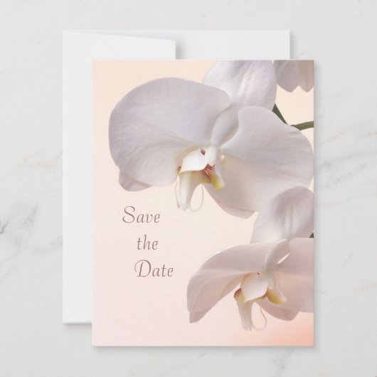 Weiße Creme-Orchideen Save the Date (Vorderseite)
