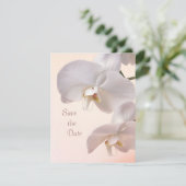 Weiße Creme-Orchideen Save the Date (Stehend Vorderseite)