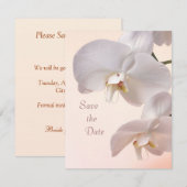 Weiße Creme-Orchideen Save the Date (Vorne/Hinten)