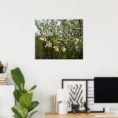 Weiße cremefarbene Blüten am Busch nach Frühlingsr Poster (Heimbüro)