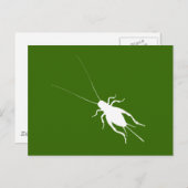 Weiße Cricket Postkarte (Vorne/Hinten)