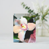 Weiße Cymbidium-Orchidee Postkarte (Stehend Vorderseite)
