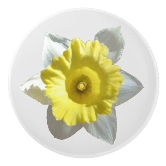 Weiße Daffodil  Keramikknauf (Vorderseite)