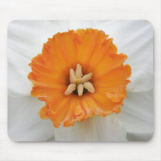 Weiße Daffodil Mousepad (Vorne)