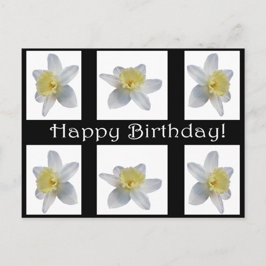 Weiße Daffodil Postkarte (Vorderseite)