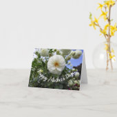 Weiße Dahlia Muttertag Karte (Gelbe Blume)