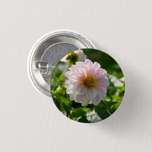 Weiße Dahlie im Foto Button (Vorne & Hinten)