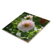 Weiße Dahlie im Foto Fliese (Seite)